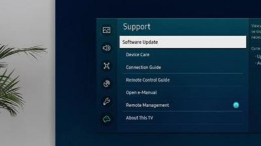 Update Your TV Firmware